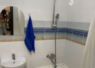 Квартира на продажу студия, 20 м2, Барнаул, улица Чехова, 20