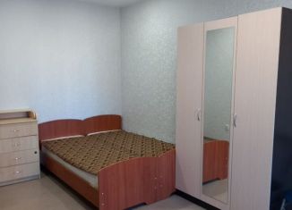 Сдача в аренду 1-комнатной квартиры, 39 м2, Йошкар-Ола, улица Петрова, 28, микрорайон Мирный