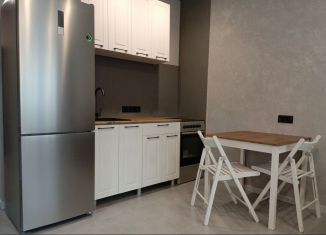 Сдача в аренду квартиры студии, 30 м2, Республика Башкортостан, улица Рудольфа Нуреева, 5