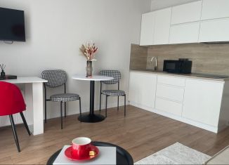 Продается квартира студия, 26 м2, Ростов-на-Дону, ЖК Пятый Элемент, улица Ерёменко, 110/2с1