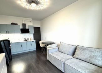 Сдача в аренду квартиры студии, 31 м2, Санкт-Петербург, проспект Авиаконструкторов, 69