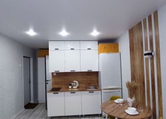 Продается квартира студия, 22 м2, Чувашия, Канашское шоссе, 1