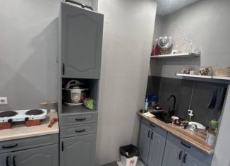 Продажа 1-ком. квартиры, 42.2 м2, Новосибирск, метро Золотая Нива, улица Виталия Потылицына, 11/1