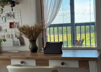 Продается квартира студия, 29.1 м2, Санкт-Петербург, Арцеуловская аллея, 19, ЖК Чистое Небо