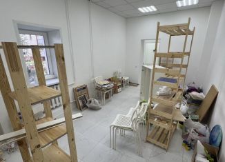 Помещение свободного назначения на продажу, 37 м2, Киров, улица Северная Набережная, 17