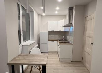 Сдаю в аренду квартиру студию, 25 м2, Мурино, Ручьёвский проспект, 4/26