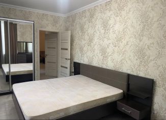 Сдам 2-ком. квартиру, 56.1 м2, Краснодар, улица Александра Покрышкина, 25Ак2, микрорайон Энка (имени Маршала Жукова)