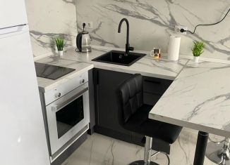 Сдается в аренду квартира студия, 22.5 м2, Новосибирск, Ленинский район, улица Забалуева, 102/2