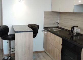 Однокомнатная квартира в аренду, 33.2 м2, Кудрово, Пражская улица, 14