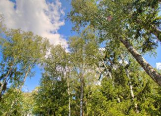 Земельный участок на продажу, 122 сот., деревня Бородки