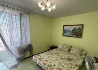 Сдается 1-комнатная квартира, 22 м2, поселок городского типа Заозерное, Октябрьская улица, 10