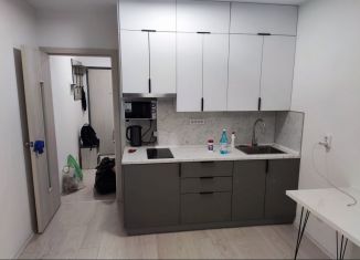 Сдаю квартиру студию, 25 м2, Екатеринбург, Советская улица, 62Б, ЖК Цветной Бульвар