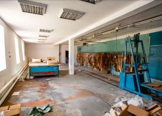 Аренда торговой площади, 500 м2, Челябинская область, улица Свободы, 50