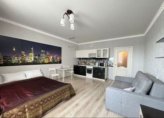 Квартира в аренду студия, 30 м2, Краснодар, улица имени М.Е. Соколова, 86к2, микрорайон Горхутор