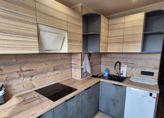 Сдача в аренду однокомнатной квартиры, 30 м2, Мурманск, улица Крупской, 40