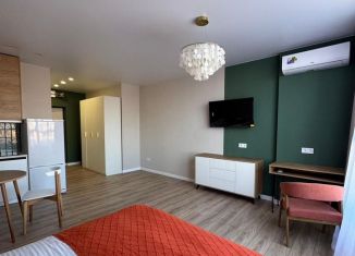 Сдаю квартиру студию, 33 м2, Краснодар, улица Григория Булгакова, 13к1, микрорайон Достояние