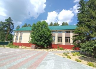 Продам помещение свободного назначения, 1030 м2, Сысерть, улица Степана Разина, 41