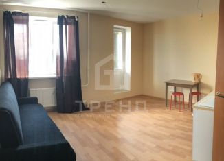 Продам квартиру студию, 26.4 м2, посёлок Парголово, Толубеевский проезд, 24