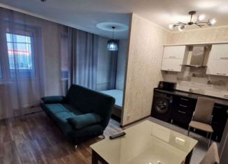 Аренда 1-комнатной квартиры, 42 м2, Абакан, улица Некрасова, 18