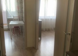 Аренда 1-комнатной квартиры, 36 м2, Санкт-Петербург, Кушелевская дорога, Калининский район