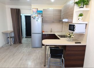 Сдам в аренду квартиру студию, 28 м2, Республика Башкортостан, Сливовая улица, 7