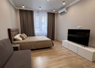 Сдается 1-ком. квартира, 46 м2, Краснодар, улица имени П.М. Гаврилова, 88, микрорайон Центральный