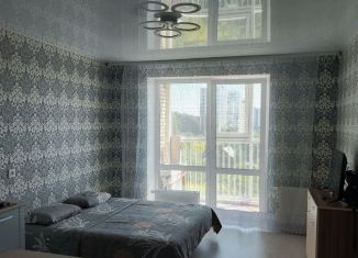 Сдаю в аренду квартиру студию, 25 м2, Удмуртия, улица 40 лет Победы, 71