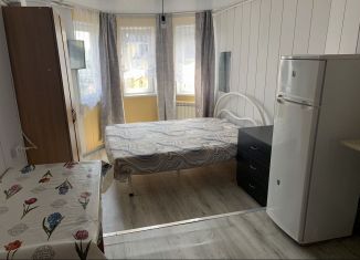 Квартира в аренду студия, 20 м2, Сочи, улица Цюрупы, 23
