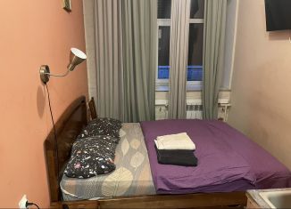 Аренда квартиры студии, 16.5 м2, Санкт-Петербург, 9-я Советская улица, 24