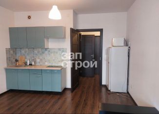 Продам квартиру студию, 24.7 м2, Санкт-Петербург, Красносельский район, проспект Ветеранов, 173к7