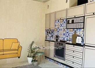 Продажа квартиры студии, 31 м2, Санкт-Петербург, Белоостровская улица, 7, метро Чёрная речка