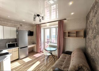 Квартира в аренду студия, 20.9 м2, Коми, Тентюковская улица, 308