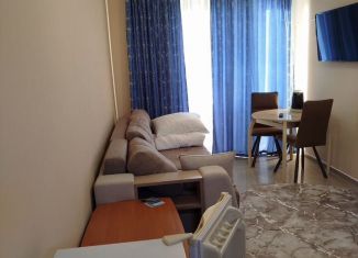 Продажа двухкомнатной квартиры, 32 м2, поселок городского типа Николаевка, Чудесная улица, 2/56