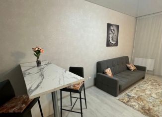 Квартира на продажу студия, 25.5 м2, Ростов-на-Дону, Пролетарский район, Береговая улица, 73с1