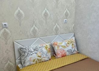 Сдача в аренду квартиры студии, 26 м2, Кудрово, проспект Строителей, 1к2