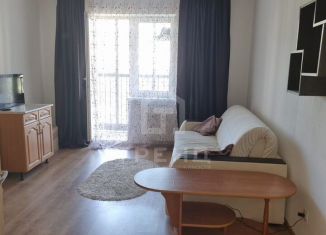 Продажа квартиры студии, 25 м2, Санкт-Петербург, Советский проспект, 2, муниципальный округ Рыбацкое