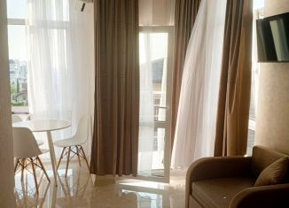 Сдам в аренду квартиру студию, 26 м2, Сочи, Бакинская улица, 16/2, микрорайон Верхнеимеретинская Бухта