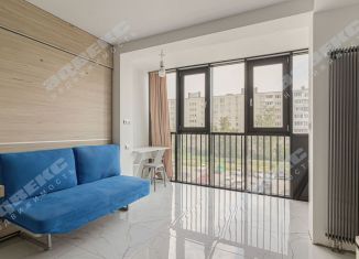 Продается квартира студия, 24.6 м2, Санкт-Петербург, Будапештская улица, 102, ЖК Балканы