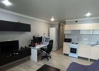 Продаю квартиру студию, 30 м2, Ростов-на-Дону, Заводская улица, 25