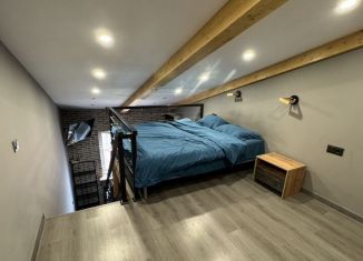 Квартира в аренду студия, 35 м2, Королёв, Бурковский проезд, 44к2, ЖК Театральный Парк