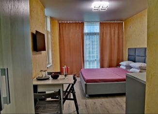 Продам квартиру студию, 24 м2, Сочи, Линейная улица, 26