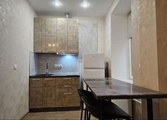 Сдается квартира студия, 19 м2, Санкт-Петербург, Полтавская улица, 10