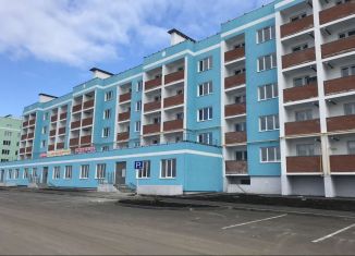 Продается 2-ком. квартира, 58.7 м2, посёлок городского типа Петра Дубрава, улица Строителей, 11