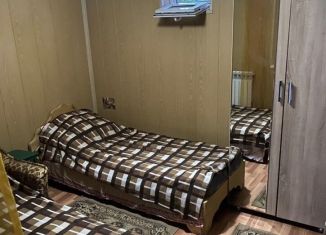 Сдам дом, 60 м2, посёлок Сенной, Весёлая улица