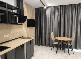 Сдается квартира студия, 30 м2, Республика Башкортостан, бульвар Ибрагимова, 90/2