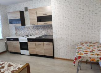 Аренда 1-ком. квартиры, 37 м2, Республика Башкортостан, Союзная улица, 37/1