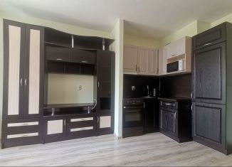 Аренда квартиры студии, 23 м2, Санкт-Петербург, Русановская улица, 18к2, Невский район