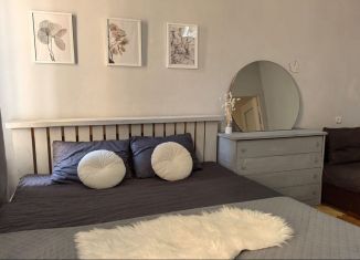 Сдается в аренду 2-комнатная квартира, 95 м2, Санкт-Петербург, Кронверкский проспект, 27, муниципальный округ Кронверкское