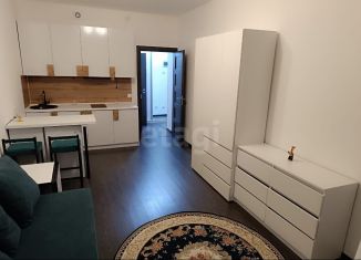 Квартира в аренду студия, 25 м2, Санкт-Петербург, улица Струве, 14к1