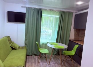 Продажа квартиры студии, 19 м2, Калининград, Коммунистическая улица, 59А